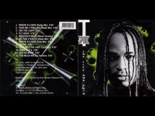 t-spoon - joy, life pain (cd) (1994)